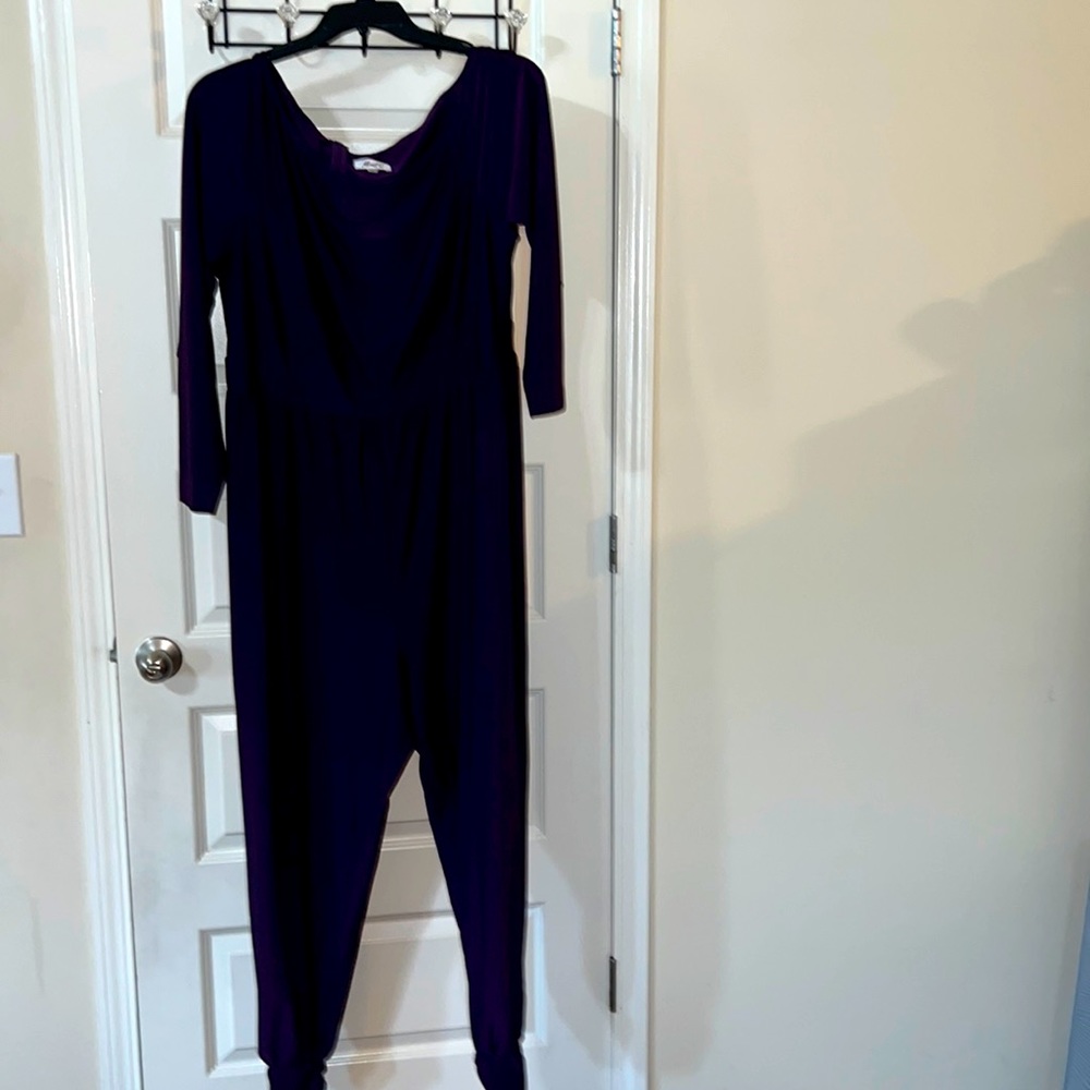 Zip back jumpsuit from Monod C. Eggplant color. Banded bottom and 3/4 sleeve